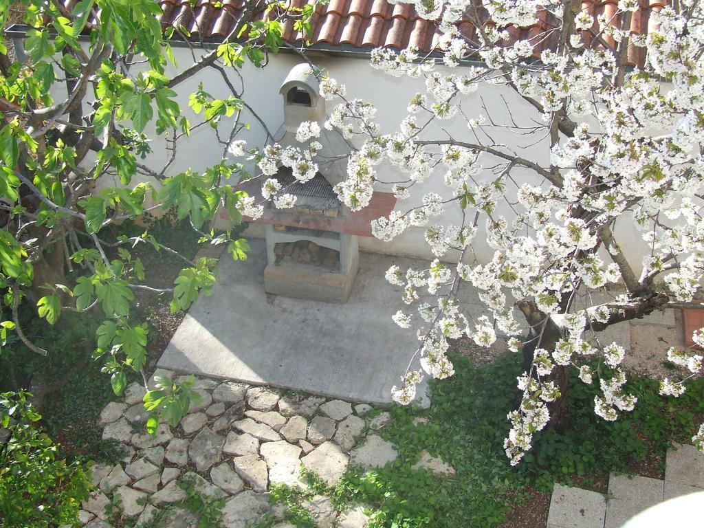 Villa Dalmatia Zadar Exterior foto