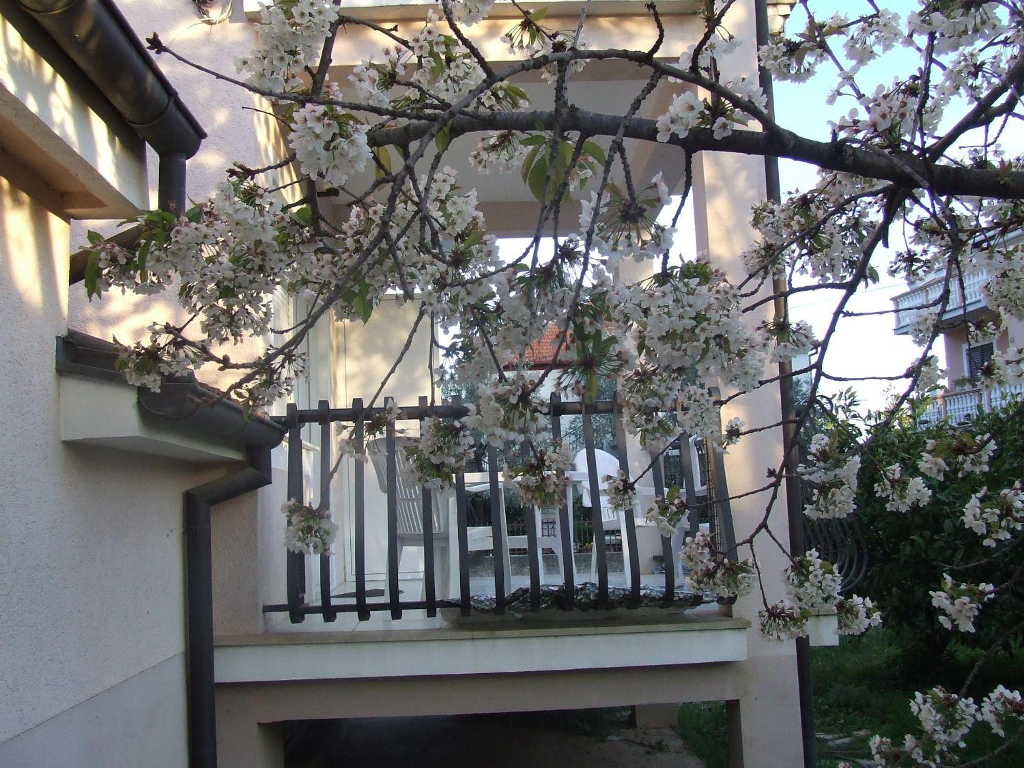 Villa Dalmatia Zadar Habitación foto